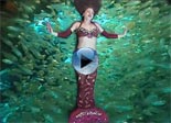 Mystic Ballads - Dolphin Video